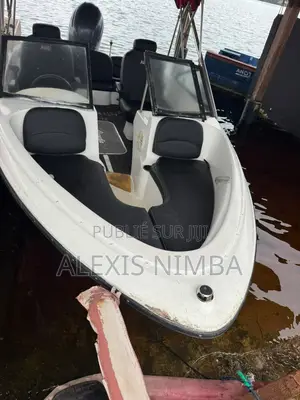 Bateau Plaisance Vip Ouvert Devant Yamaha 150cv 20million