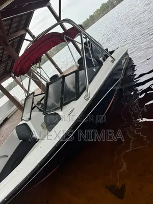Bateau Plaisance Vip Ouvert Devant Yamaha 150cv 20million