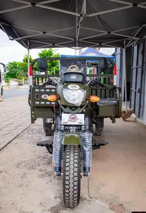 Nouveau Tricycle Autre 2024 Vert