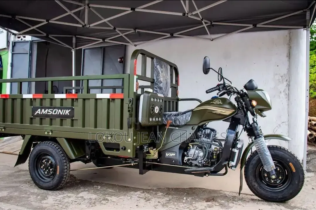 Nouveau Tricycle Autre 2024 Vert