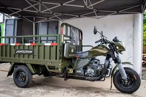Nouveau Tricycle Autre 2024 Vert