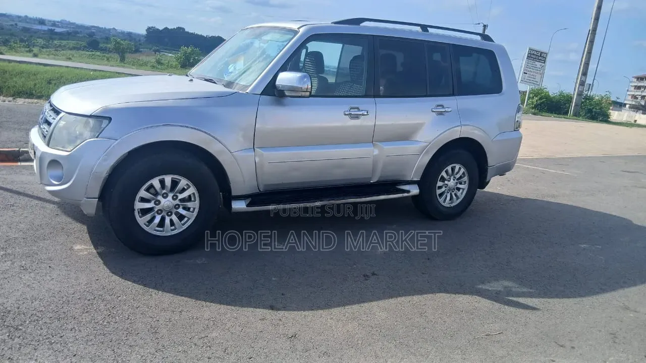Mitsubishi Pajero 2014 Gris