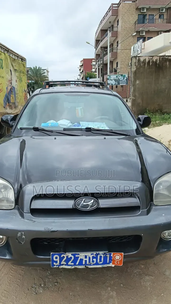 Hyundai Santa Fe 2004 Noir