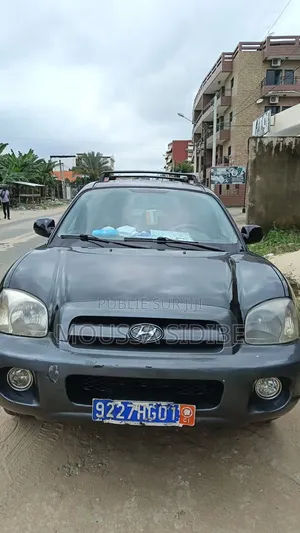 Hyundai Santa Fe 2004 Noir