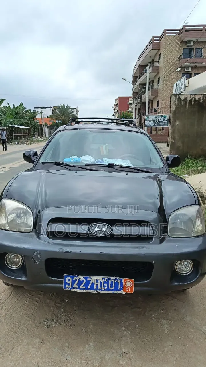 Hyundai Santa Fe 2004 Noir