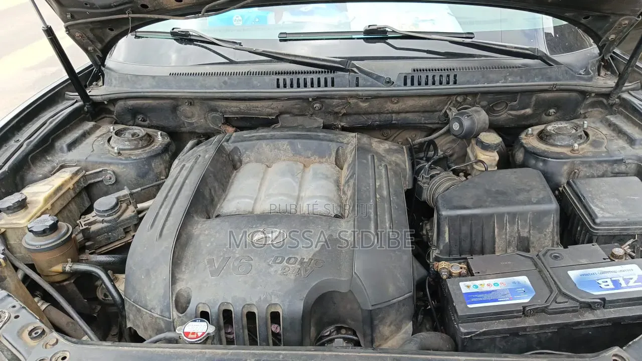 Hyundai Santa Fe 2004 Noir