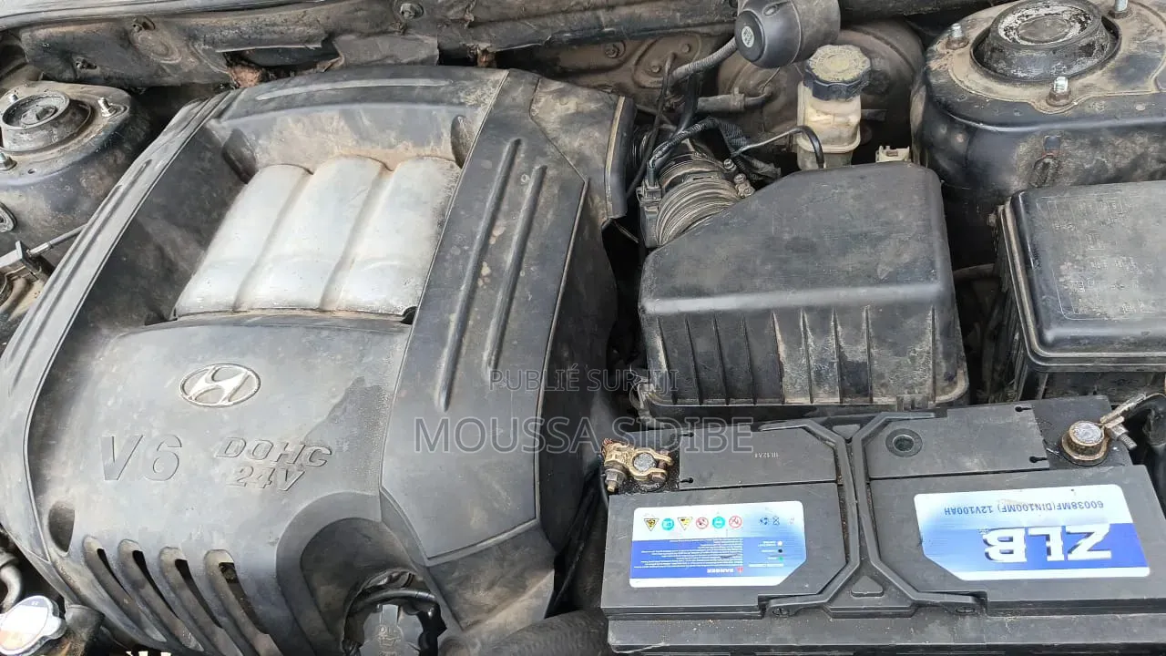 Hyundai Santa Fe 2004 Noir