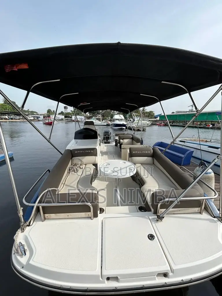 Bateau Plaisance Bayliner Élément Xr 7 300 Chevaux Mercury 80million