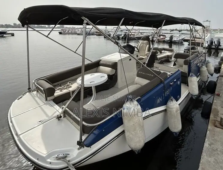 Bateau Plaisance Bayliner Élément Xr 7 300 Chevaux Mercury 80million