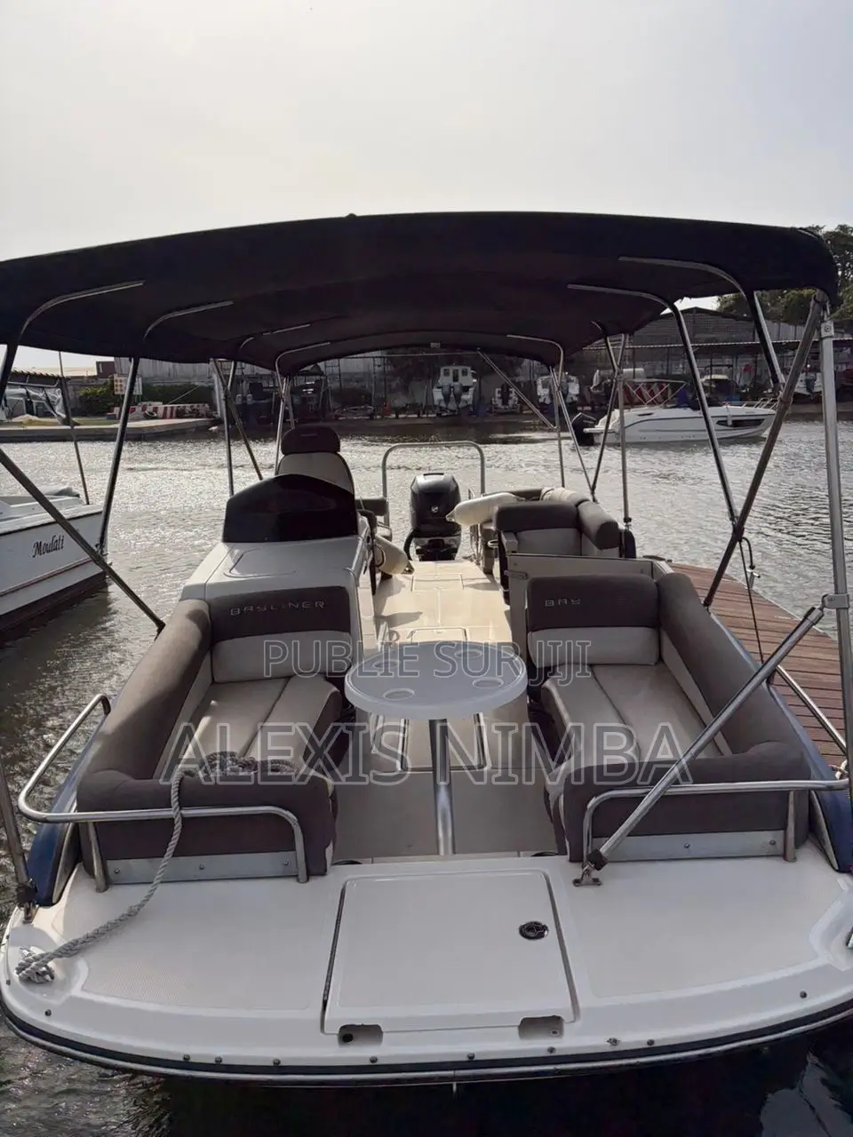 Bateau Plaisance Bayliner Élément Xr 7 300 Chevaux Mercury 80million
