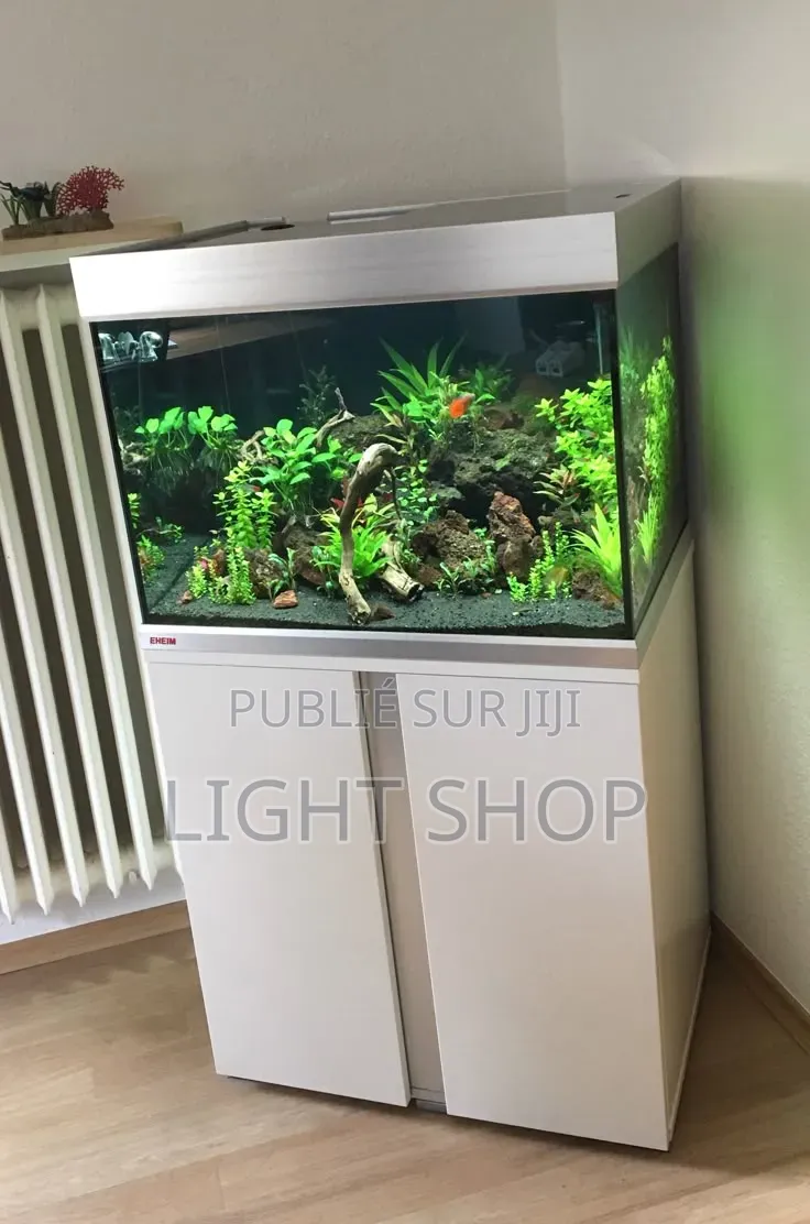 Aquarium Neuf