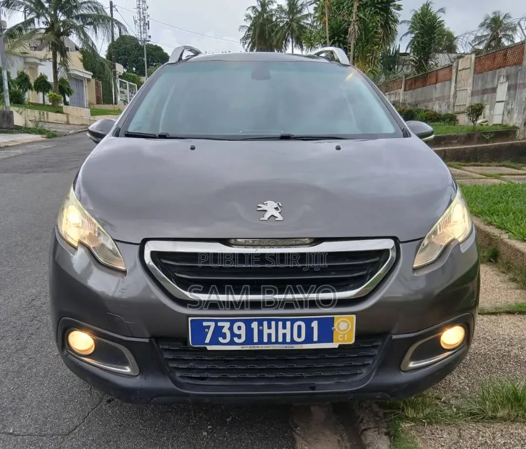 Peugeot 2008 2017 Gris