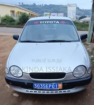 Toyota Corolla 2002 Gris