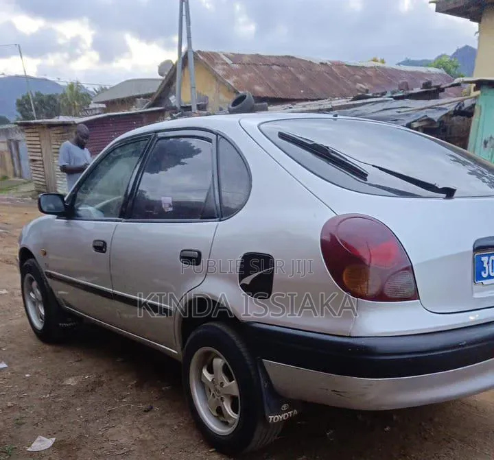 Toyota Corolla 2002 Gris