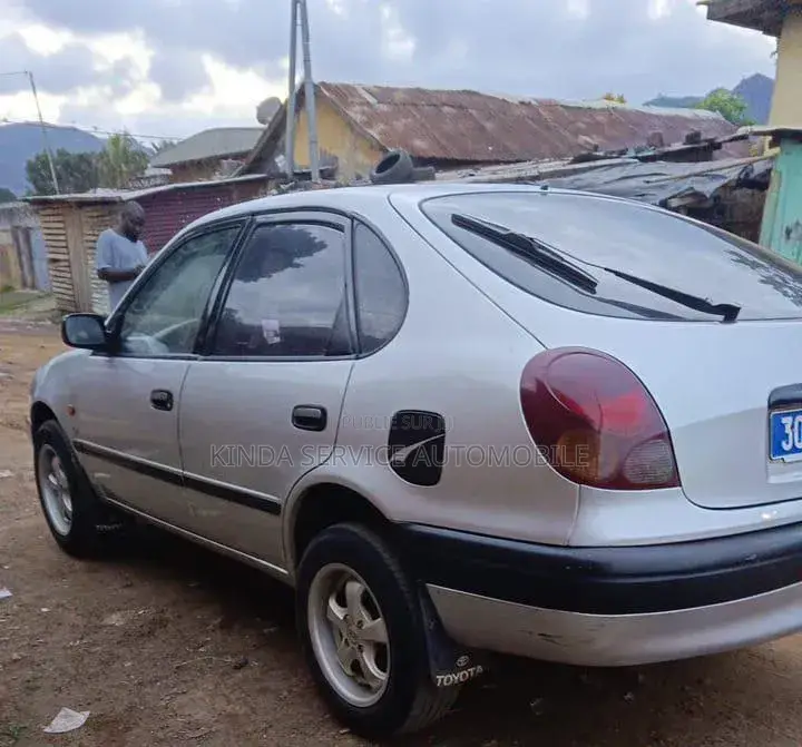 Toyota Corolla 2002 Gris