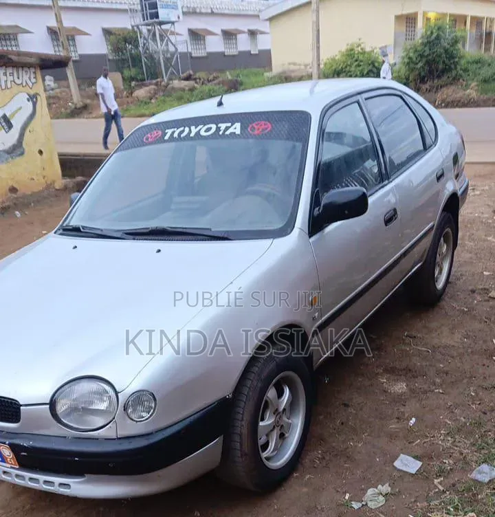 Toyota Corolla 2002 Gris