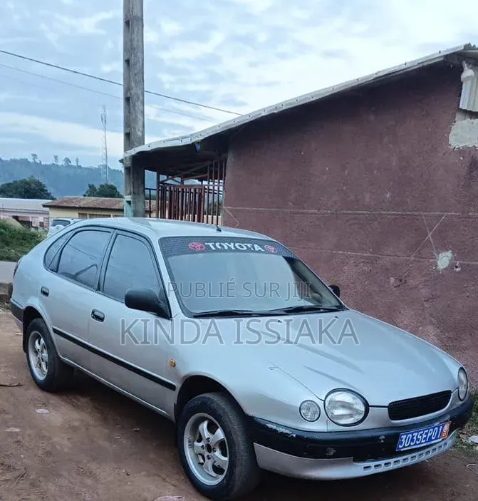 Toyota Corolla 2002 Gris