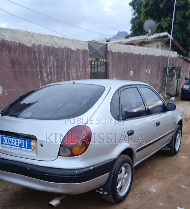 Toyota Corolla 2002 Gris