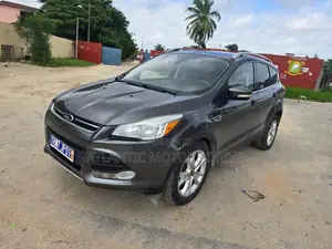 Ford Escape 2015 Gris