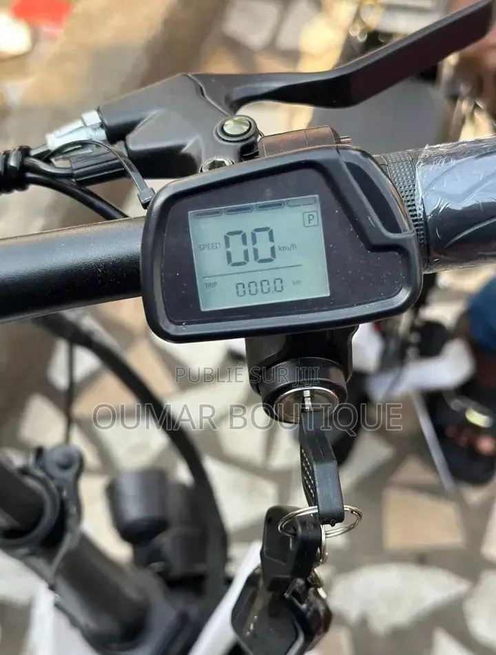 Vélo Électrique