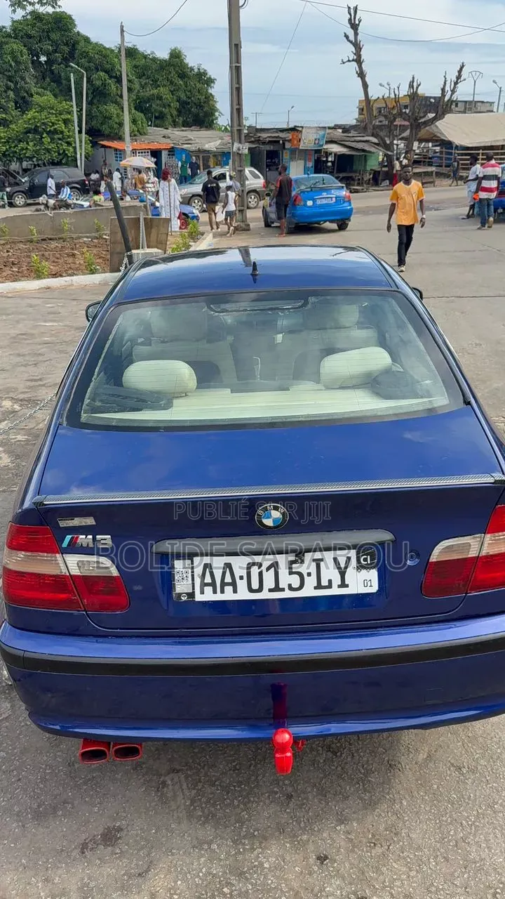 BMW 3 Series 2006 Bleu