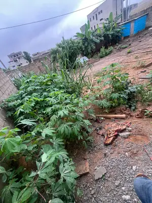 A Vendre Terrain Clôturé De 400m2 Disponible a Bingerville
