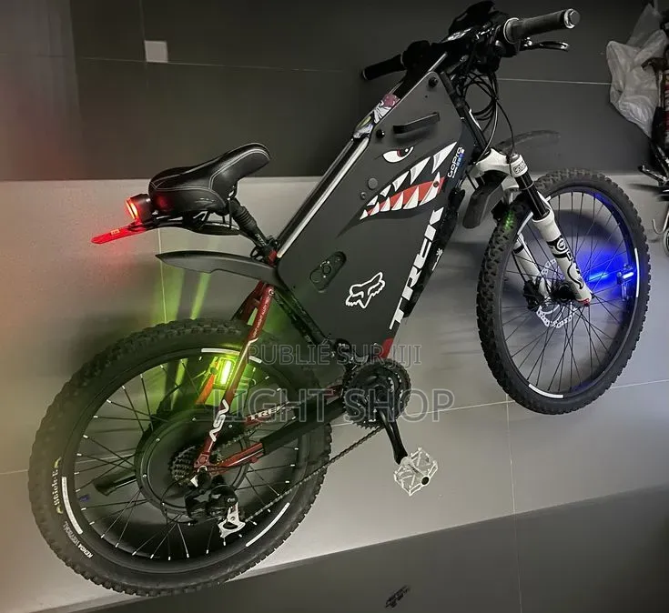 Vélo Électrique