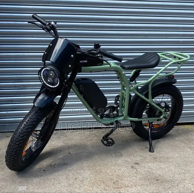Vélo Électrique