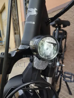 Vélo Électrique