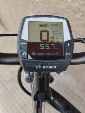 Vélo Électrique
