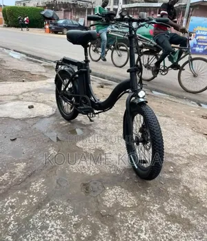 Vélo Électrique