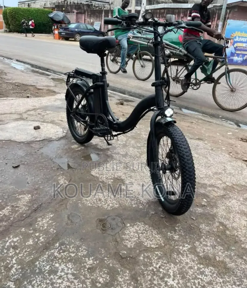 Vélo Électrique