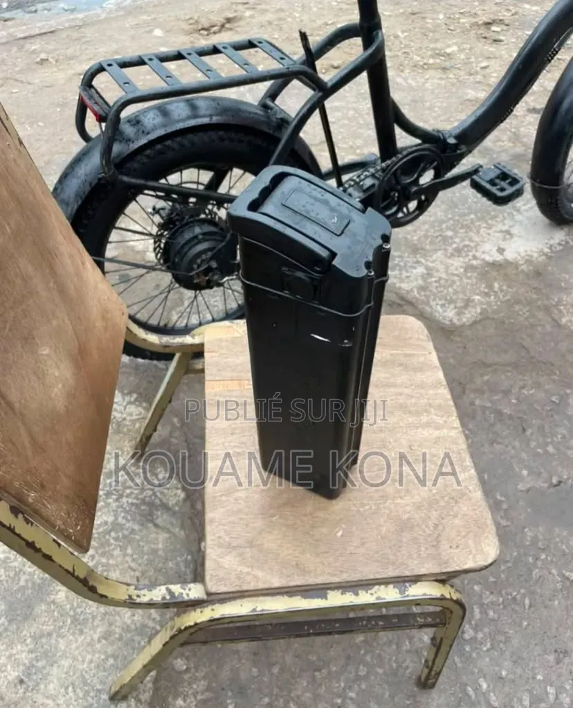 Vélo Électrique