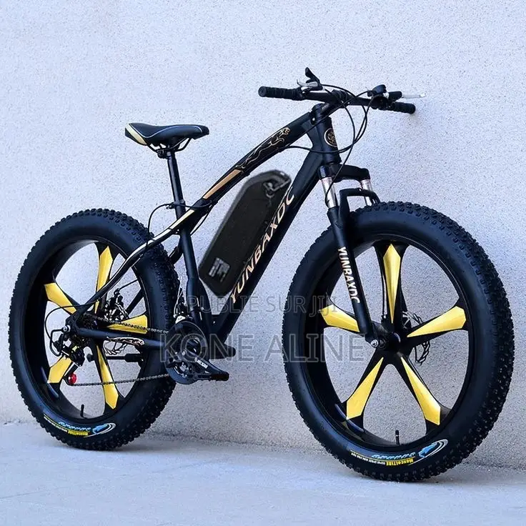 Vélo Électrique