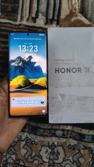 Nouveau Honor 70 256 GB Gris