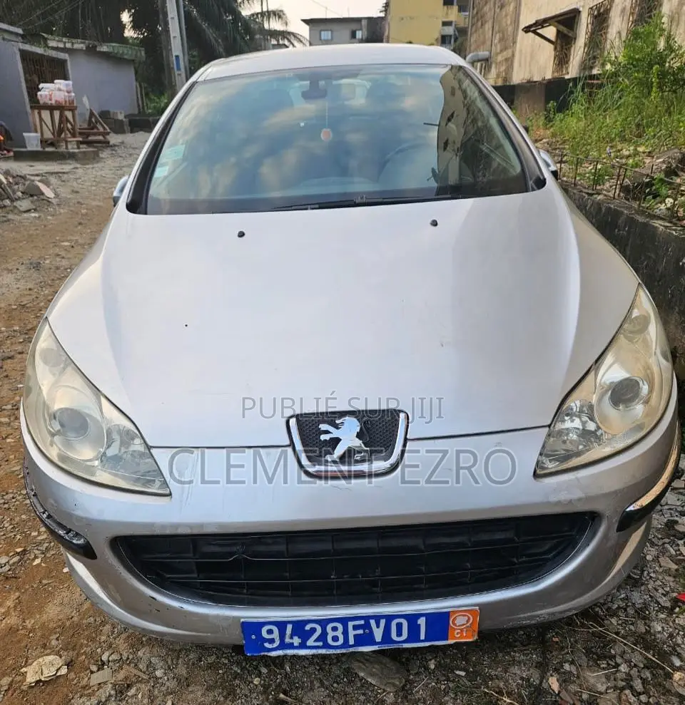 Peugeot 407 2005 Gris