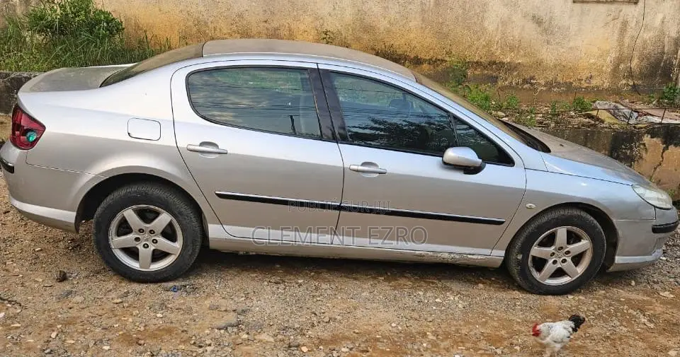 Peugeot 407 2005 Gris