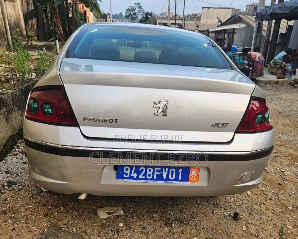 Peugeot 407 2005 Gris