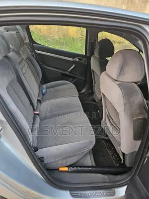 Peugeot 407 2005 Gris
