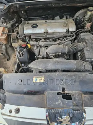 Peugeot 407 2005 Gris