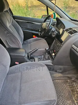 Peugeot 407 2005 Gris