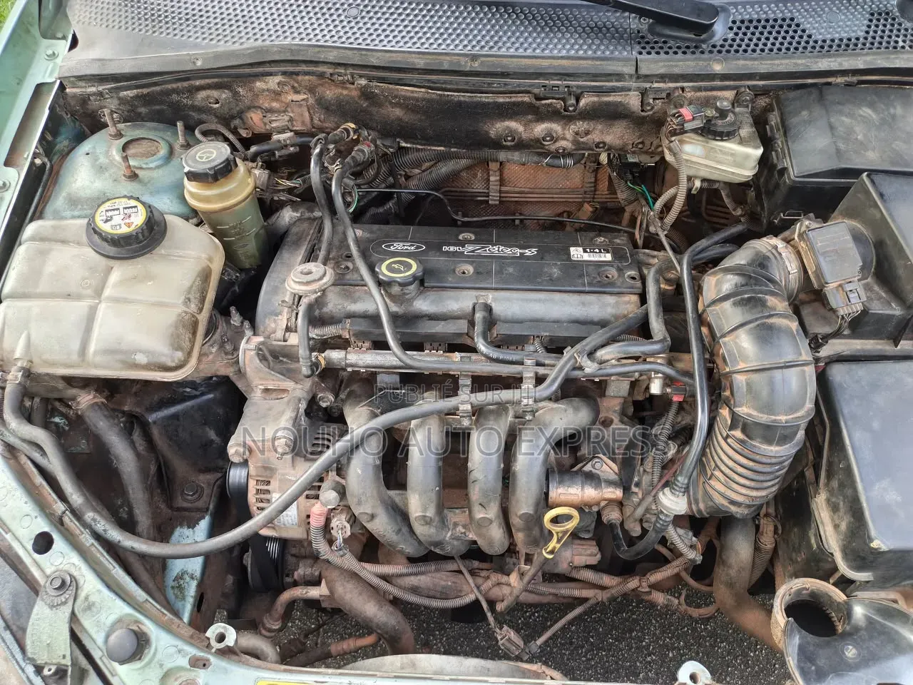 Ford Focus 2002 Vert