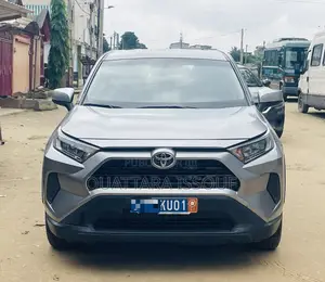 Toyota RAV4 Limited AWD 2020 Gris