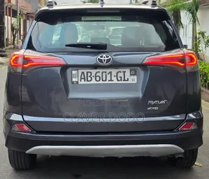 Toyota RAV4 2018 Gris