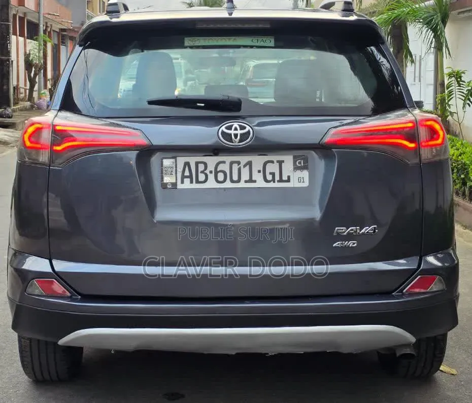 Toyota RAV4 2018 Gris