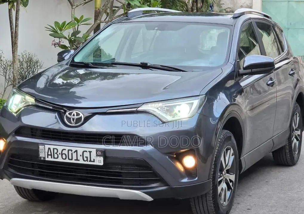 Toyota RAV4 2018 Gris