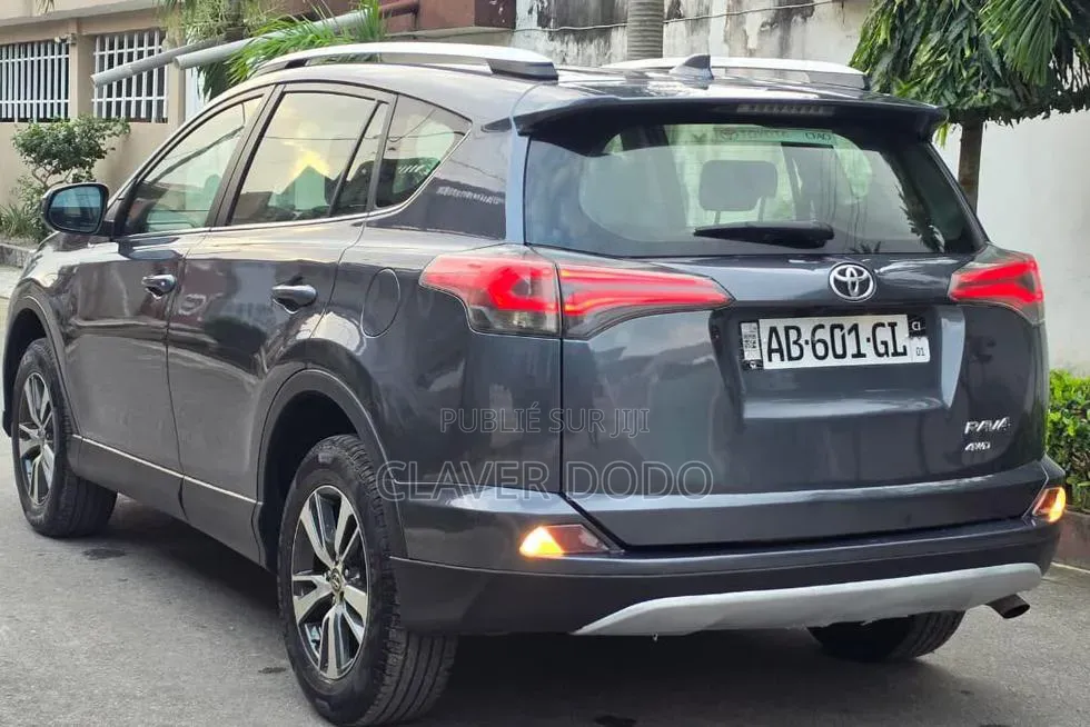 Toyota RAV4 2018 Gris