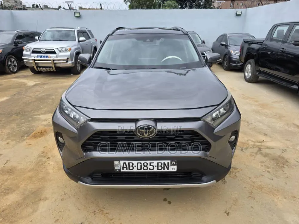 Toyota RAV4 XLE AWD 2019 Gris