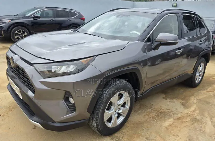 Toyota RAV4 XLE AWD 2019 Gris