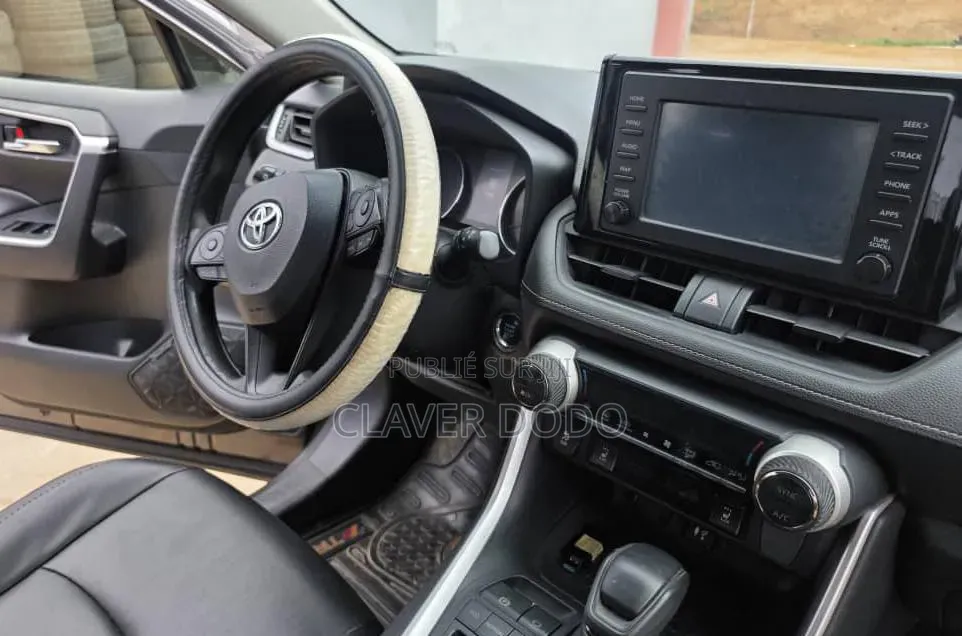 Toyota RAV4 XLE AWD 2019 Gris